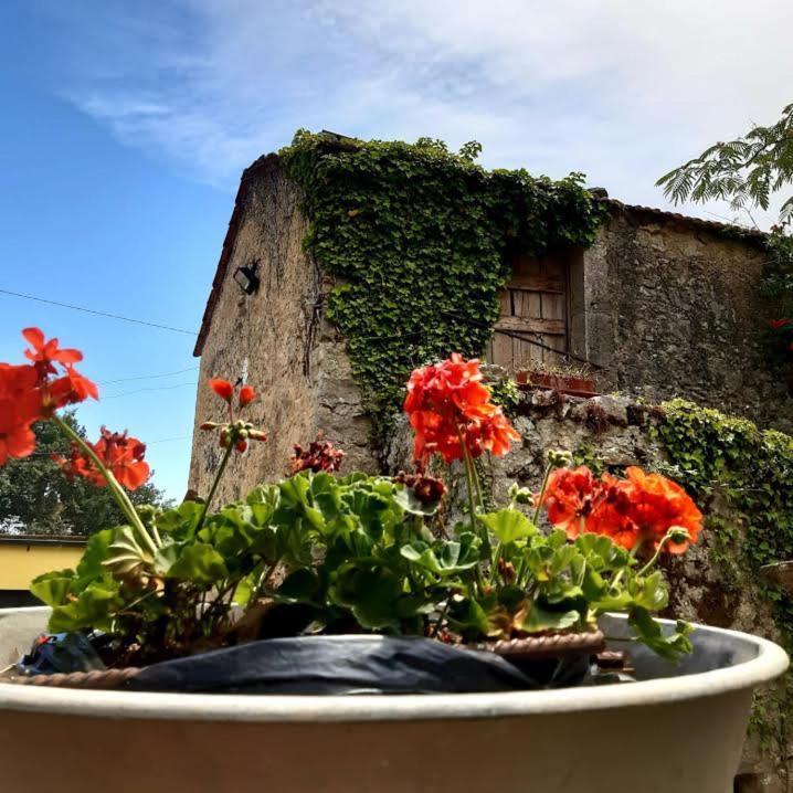 Affittacamere Varone Montaquila Exterior foto